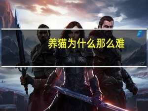 养猫为什么那么难