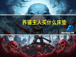 养猫主人买什么床垫