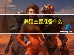 养猫主要准备什么