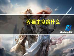 养猫主食给什么