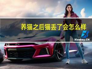 养猫之后猫丢了会怎么样