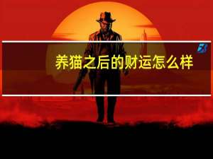 养猫之后的财运怎么样