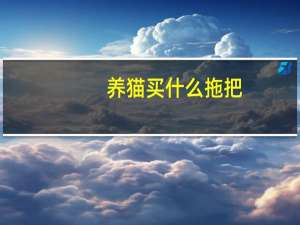 养猫买什么拖把