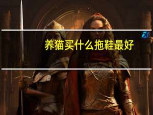 养猫买什么拖鞋最好