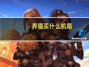 养猫买什么机箱