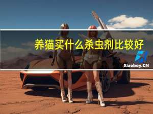养猫买什么杀虫剂比较好
