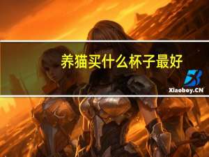 养猫买什么杯子最好