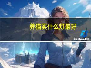 养猫买什么灯最好