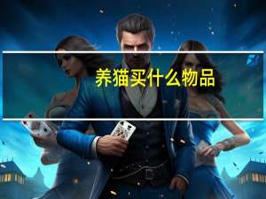 养猫买什么物品