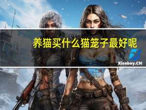 养猫买什么猫笼子最好呢