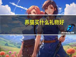 养猫买什么礼物好
