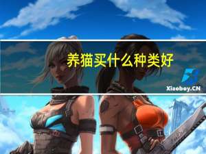 养猫买什么种类好