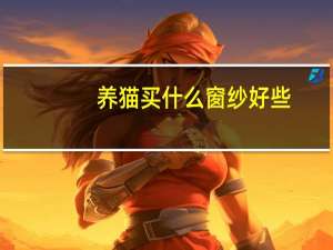 养猫买什么窗纱好些