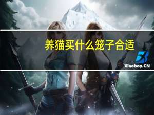 养猫买什么笼子合适