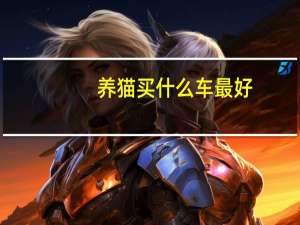 养猫买什么车最好