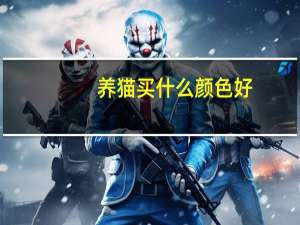 养猫买什么颜色好