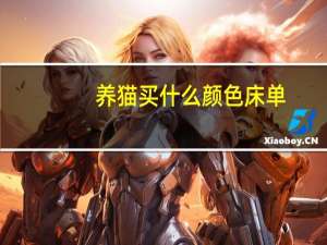 养猫买什么颜色床单