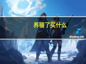养猫了买什么