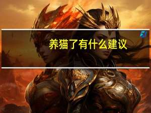 养猫了有什么建议