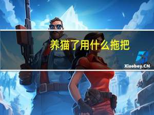 养猫了用什么拖把