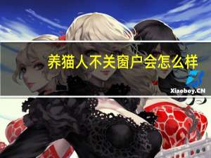 养猫人不关窗户会怎么样