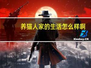 养猫人家的生活怎么样啊