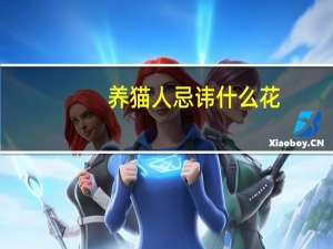 养猫人忌讳什么花