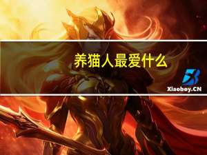 养猫人最爱什么