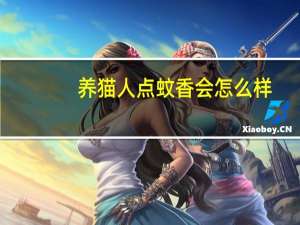 养猫人点蚊香会怎么样