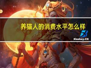 养猫人的消费水平怎么样