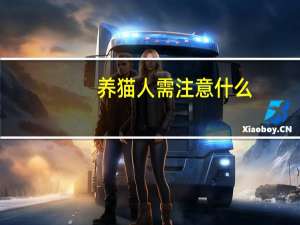 养猫人需注意什么