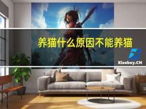 养猫什么原因不能养猫