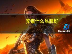 养猫什么品牌好