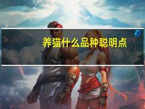 养猫什么品种聪明点