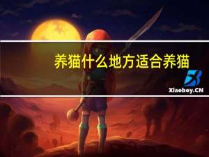 养猫什么地方适合养猫