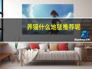 养猫什么地毯推荐呢