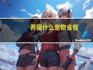 养猫什么宠物省钱