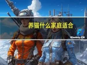 养猫什么家庭适合