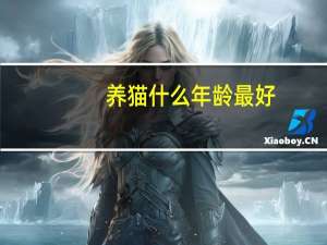 养猫什么年龄最好