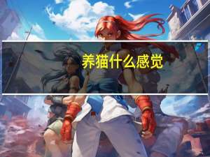 养猫什么感觉