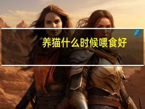 养猫什么时候喂食好