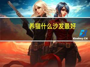 养猫什么沙发最好