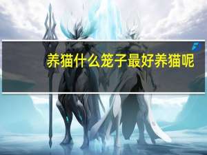 养猫什么笼子最好养猫呢