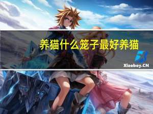 养猫什么笼子最好养猫