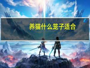 养猫什么笼子适合