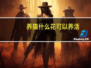养猫什么花可以养活