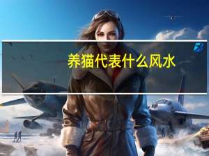 养猫代表什么风水