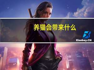 养猫会带来什么