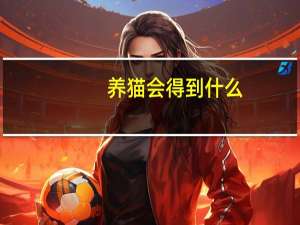 养猫会得到什么