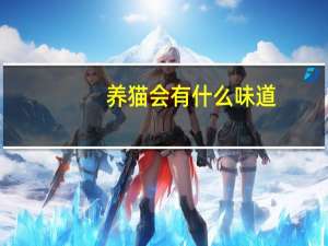 养猫会有什么味道